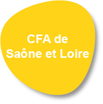CFA2